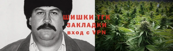 крисы Белокуриха