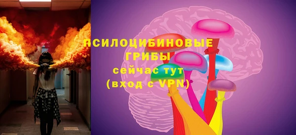 крисы Белокуриха