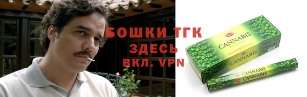 крисы Белокуриха