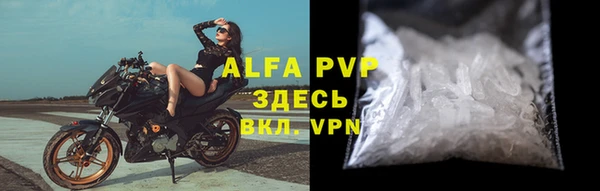 крисы Белокуриха