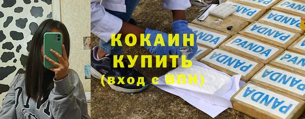 крисы Белокуриха