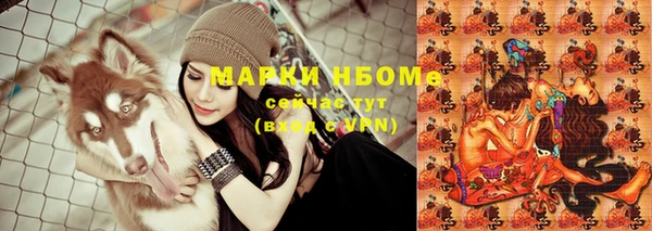 гашик Белоозёрский