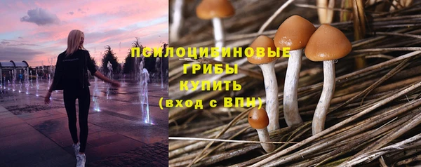 спиды Беломорск
