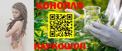 гидра Новозыбков