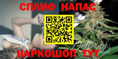 гидра Новозыбков