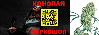 гидра Новозыбков