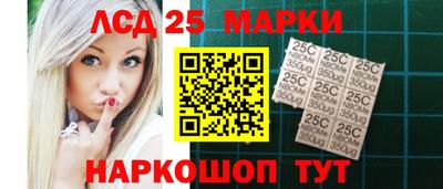 гидра Новозыбков