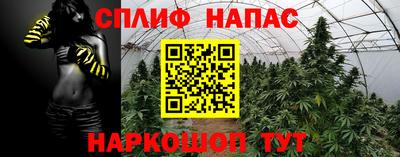 гидра Новозыбков